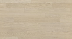 Arctic Oak
